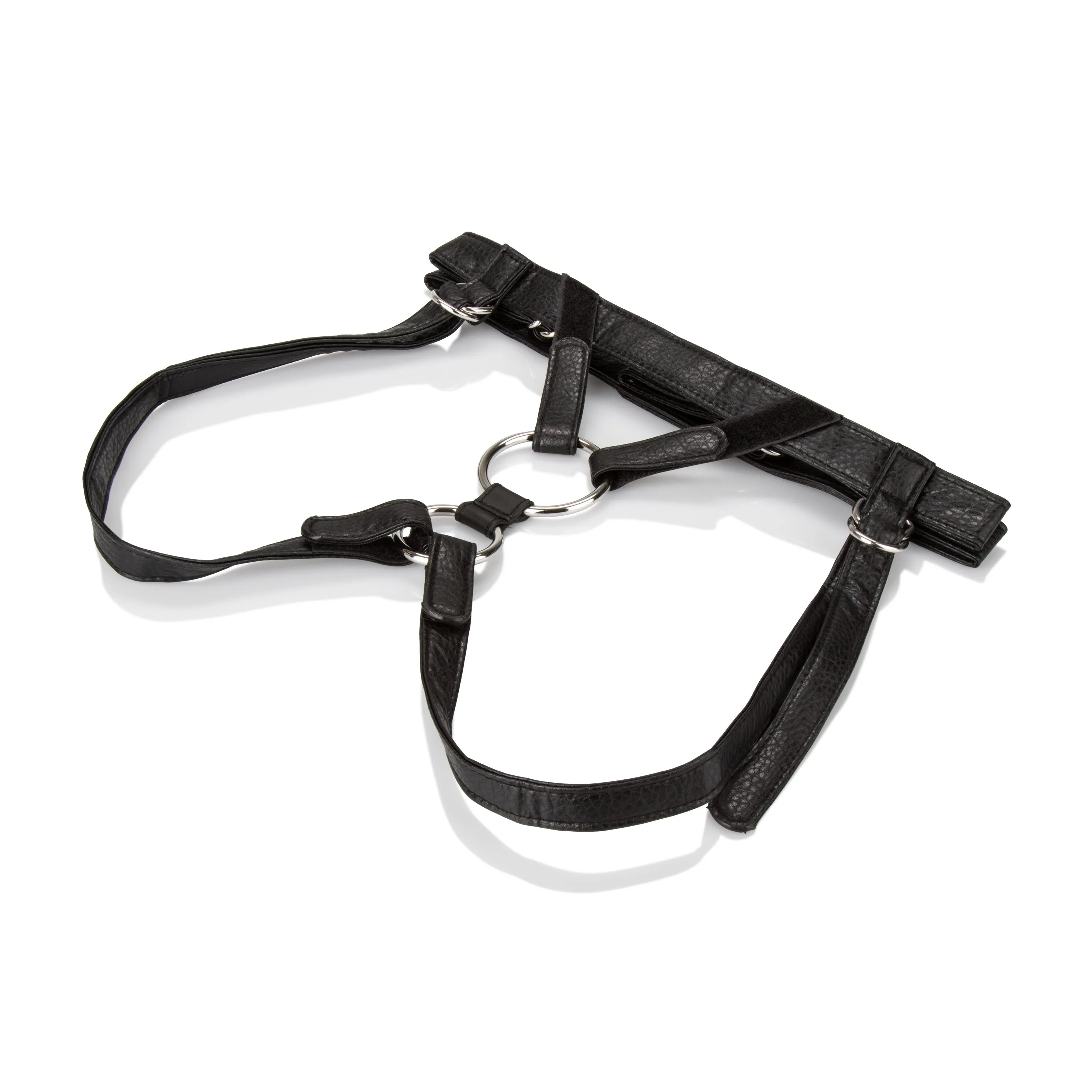 Her Royal Harness The Duchess