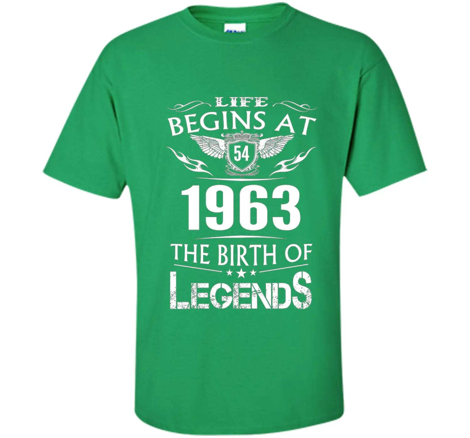 Life Begins At 54 1963 The Birth Of Legends T-Shirt t-shirt