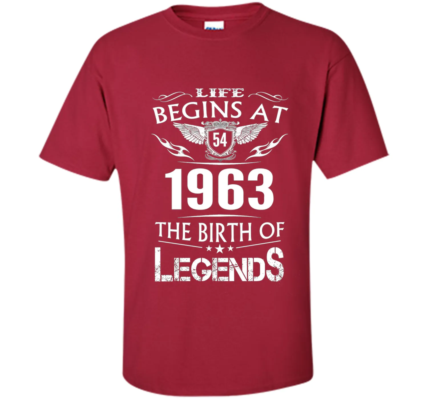 Life Begins At 54 1963 The Birth Of Legends T-Shirt t-shirt