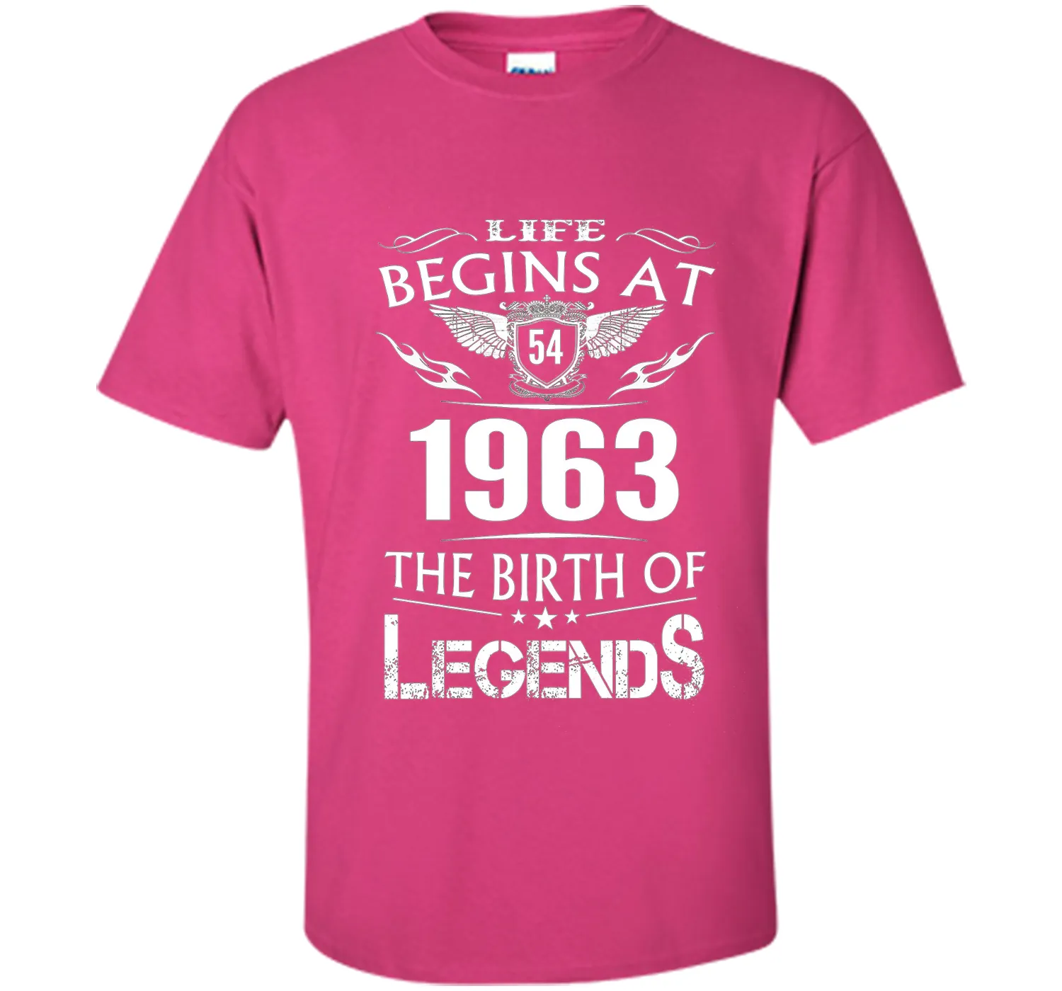 Life Begins At 54 1963 The Birth Of Legends T-Shirt t-shirt