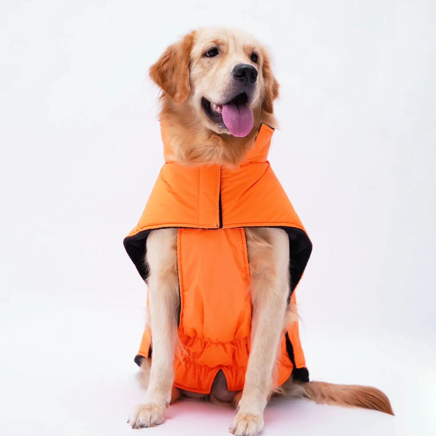 Neon Jacket for Dogs