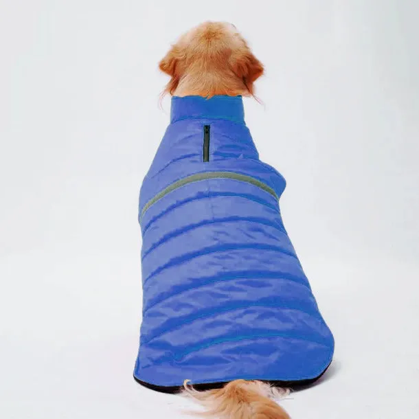 Neon Jacket for Dogs