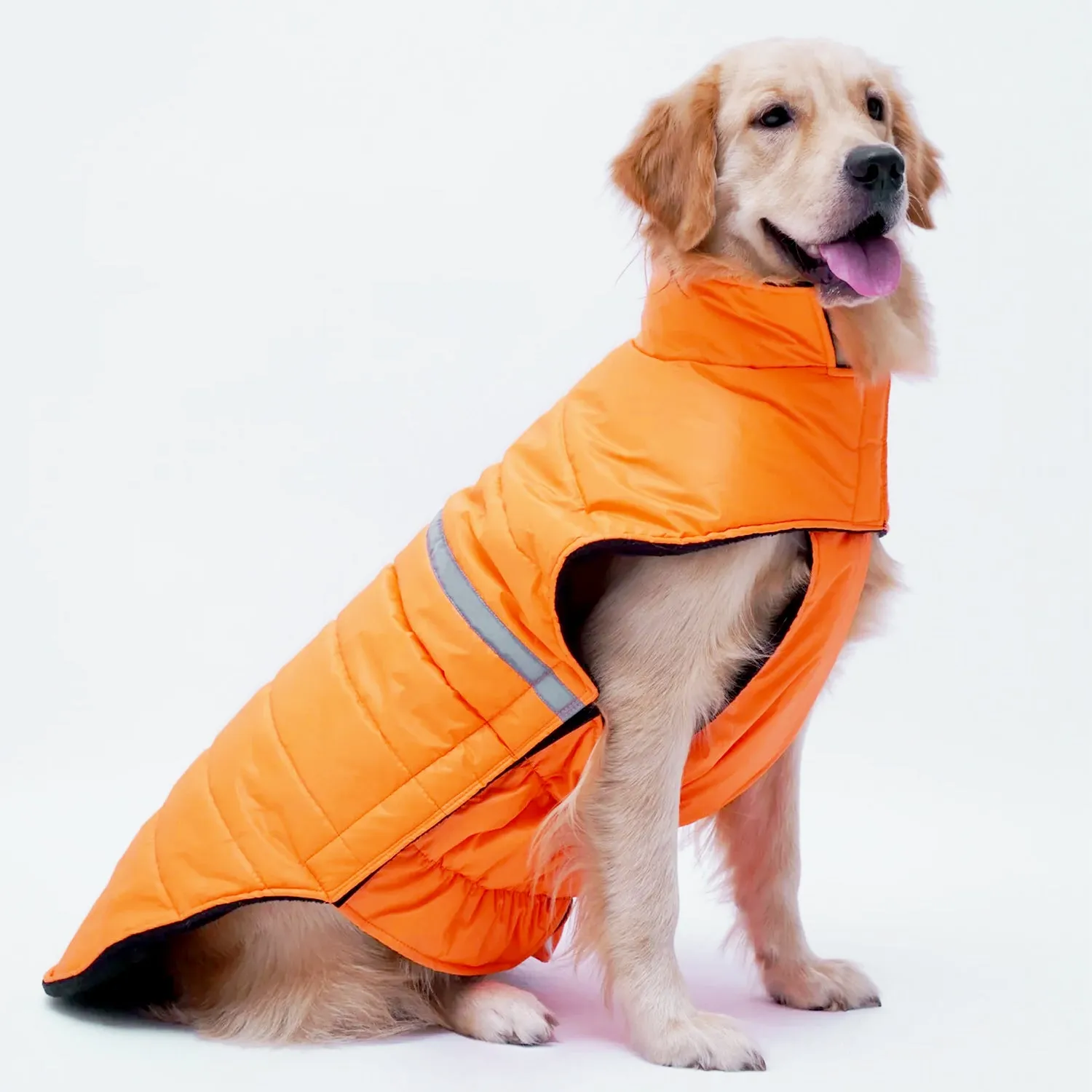 Neon Jacket for Dogs