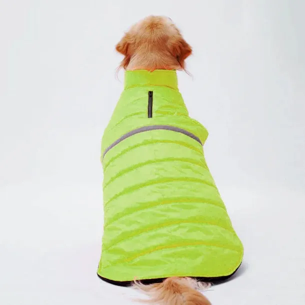 Neon Jacket for Dogs