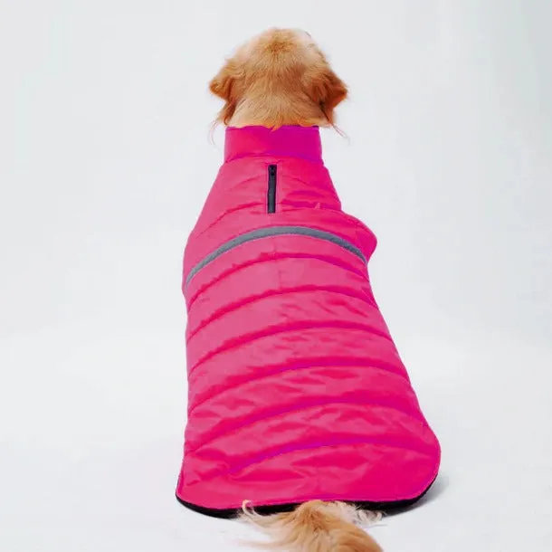 Neon Jacket for Dogs