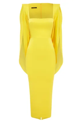 Portrait Cape Dress