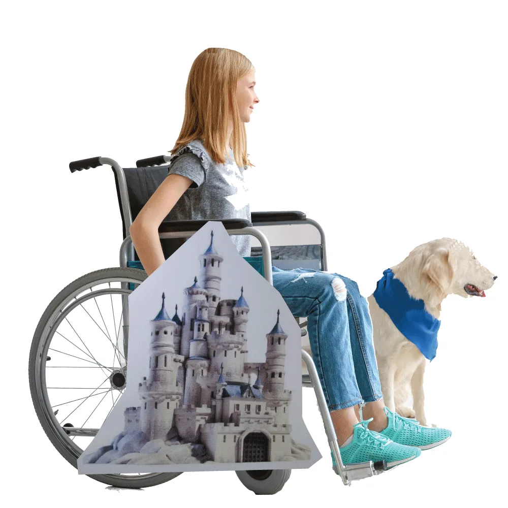 Stone Castle Wheelchair Costume Child's