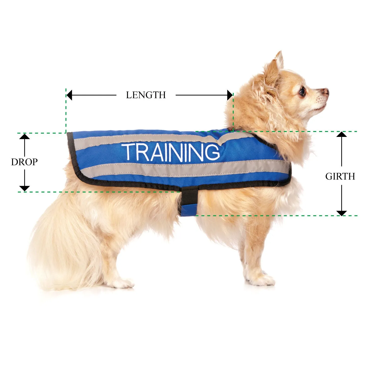 TRAINING - Small Coat