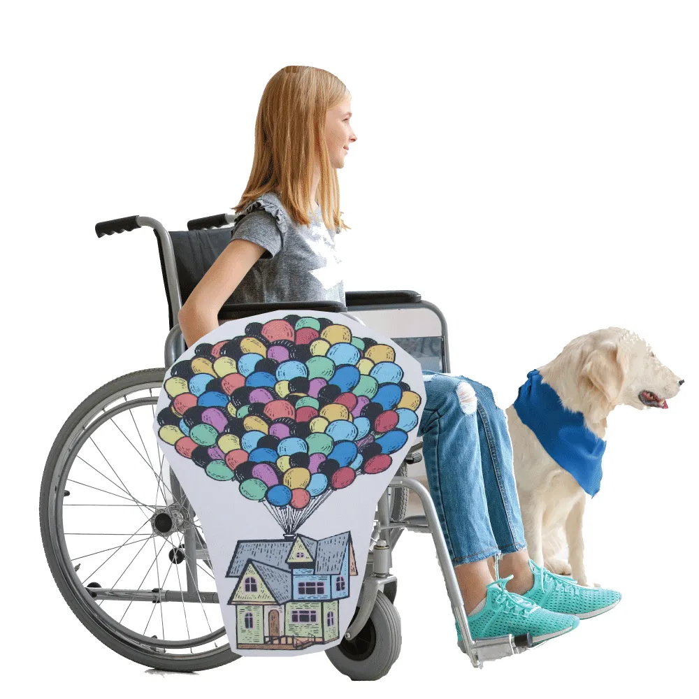 Up House Lookalike Wheelchair Costume Child's