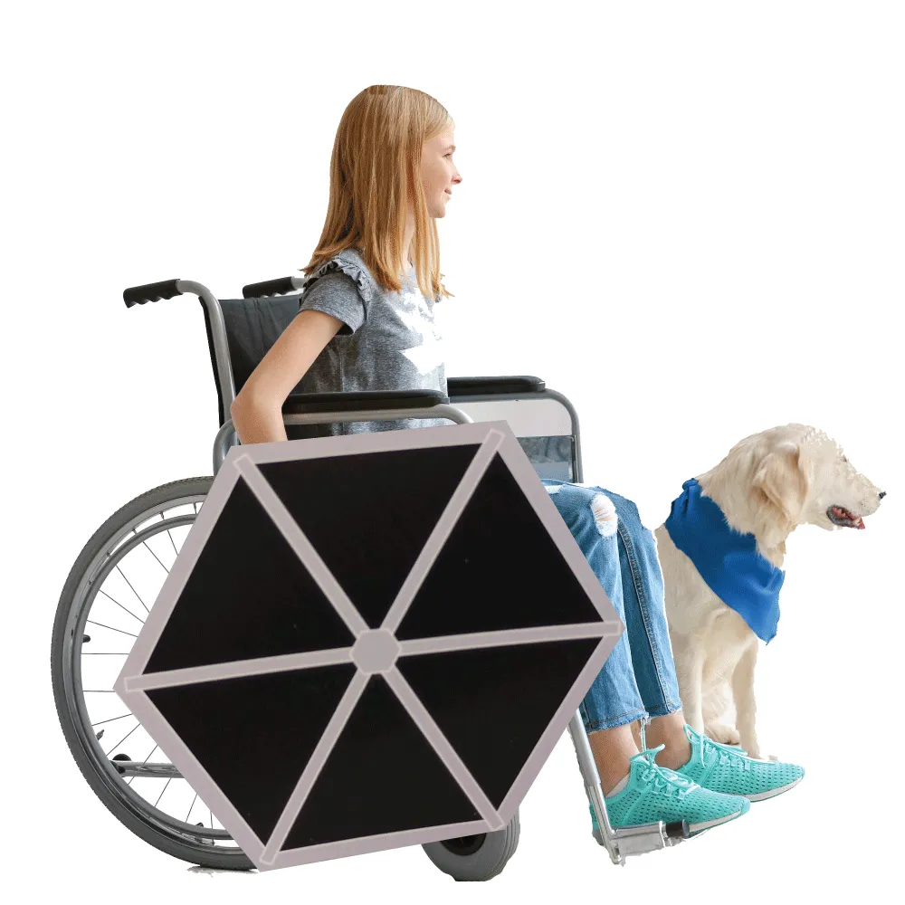 Winged Tie Fighter Lookalike Wheelchair Costume Child's